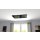 LED Infrarotheizung PowerSun Carboglas - 500 Watt | 60x110 cm | schwarz