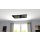 LED Infrarotheizung PowerSun Carboglas - 500 Watt | 60x110 cm | schwarz