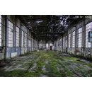 Bild Infrarotheizung 820 Watt | rahmenlos | 170 x 40 cm | 12-20 m²