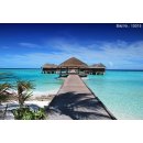 Bild Infrarotheizung 820 Watt | rahmenlos | 170 x 40 cm | 12-20 m²