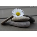 Bild Infrarotheizung 820 Watt | rahmenlos | 170 x 40 cm | 12-20 m²