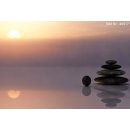 Bild Infrarotheizung 820 Watt | rahmenlos | 170 x 40 cm | 12-20 m²