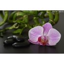 Bild Infrarotheizung 820 Watt | rahmenlos | 170 x 40 cm | 12-20 m²